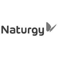 Naturgy Logo